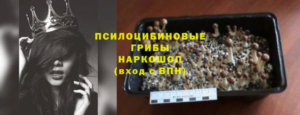 дмт Алексин