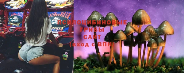 герыч Алексеевка
