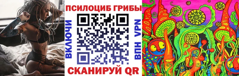 как найти закладки Ревда Псилоцибиновые грибы ЛСД